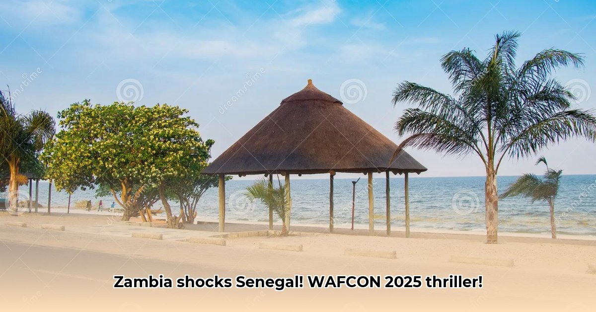 zambia-vs-senegal-live-today